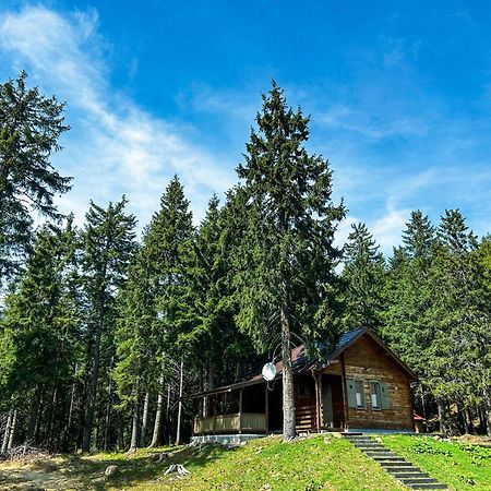 Natura Haziko Ізвоаре Екстер'єр фото