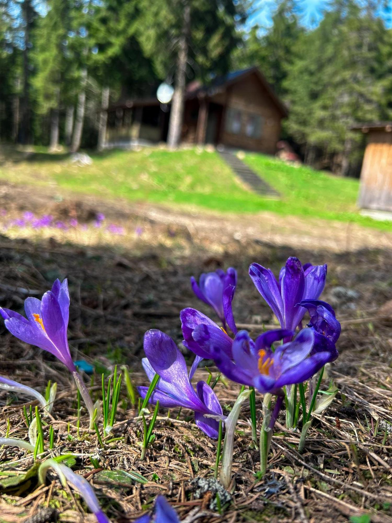 Natura Haziko Ізвоаре Екстер'єр фото